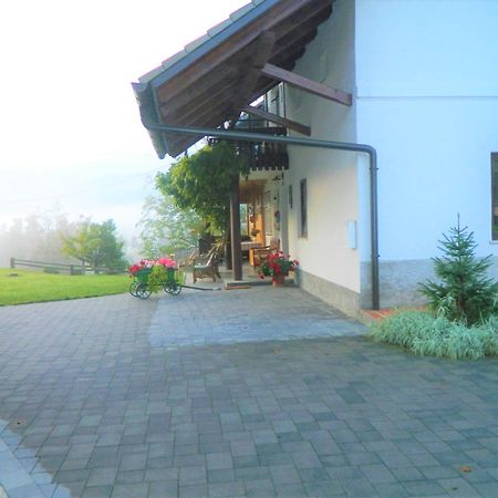 Apartma Biofit بليد الغرفة الصورة